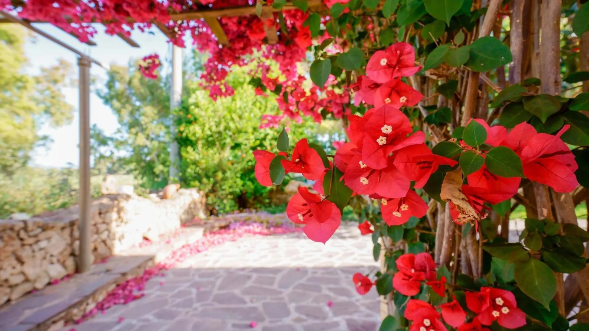 Agriturismo La Genziana Alghero Lantgård